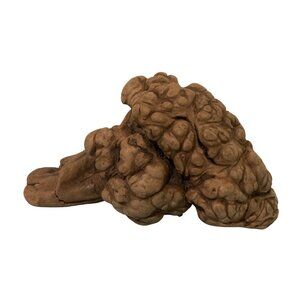 Natural Burl Wood Sculpture Organic Art Decor Piece